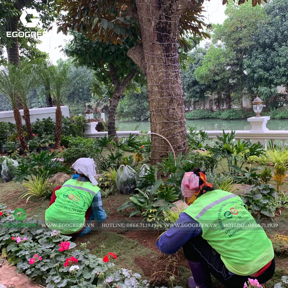 EGOGREEN tạo chiều sâu không gian bằng cách phân tầng qua chiều cao thấp của cây cối.